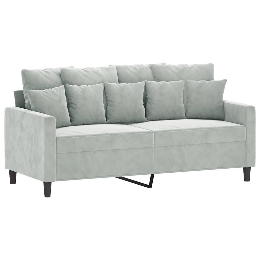Light Gray Velvet 2-Seater Sofa J180