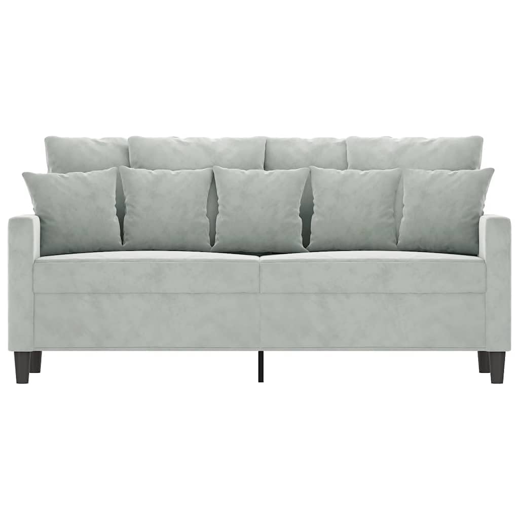 Light Gray Velvet 2-Seater Sofa J180
