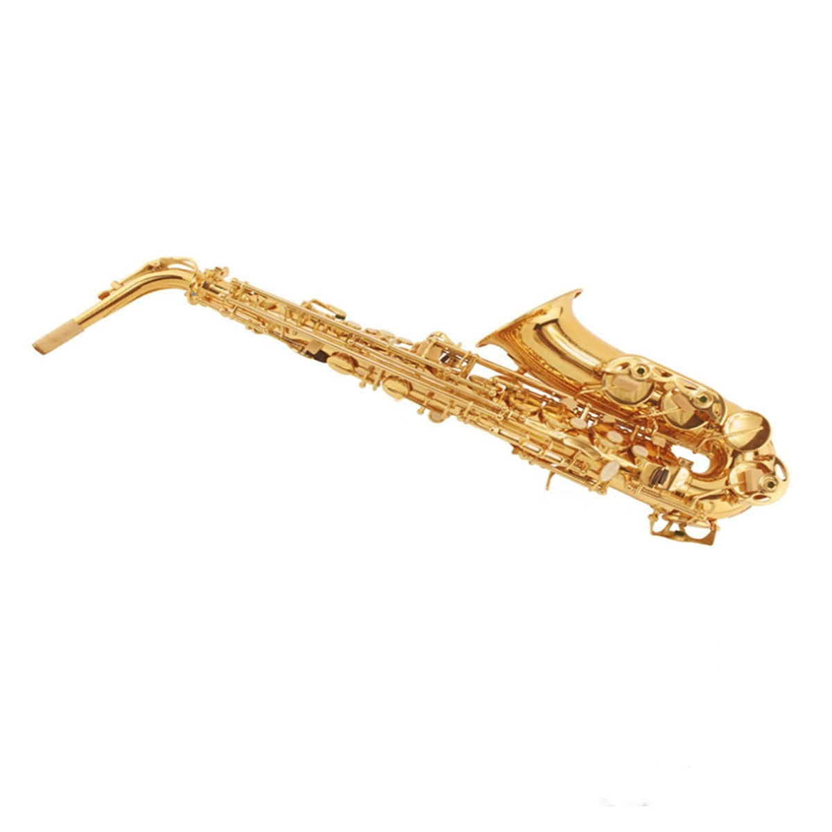 E Flat Alto Saxophone Set P41741