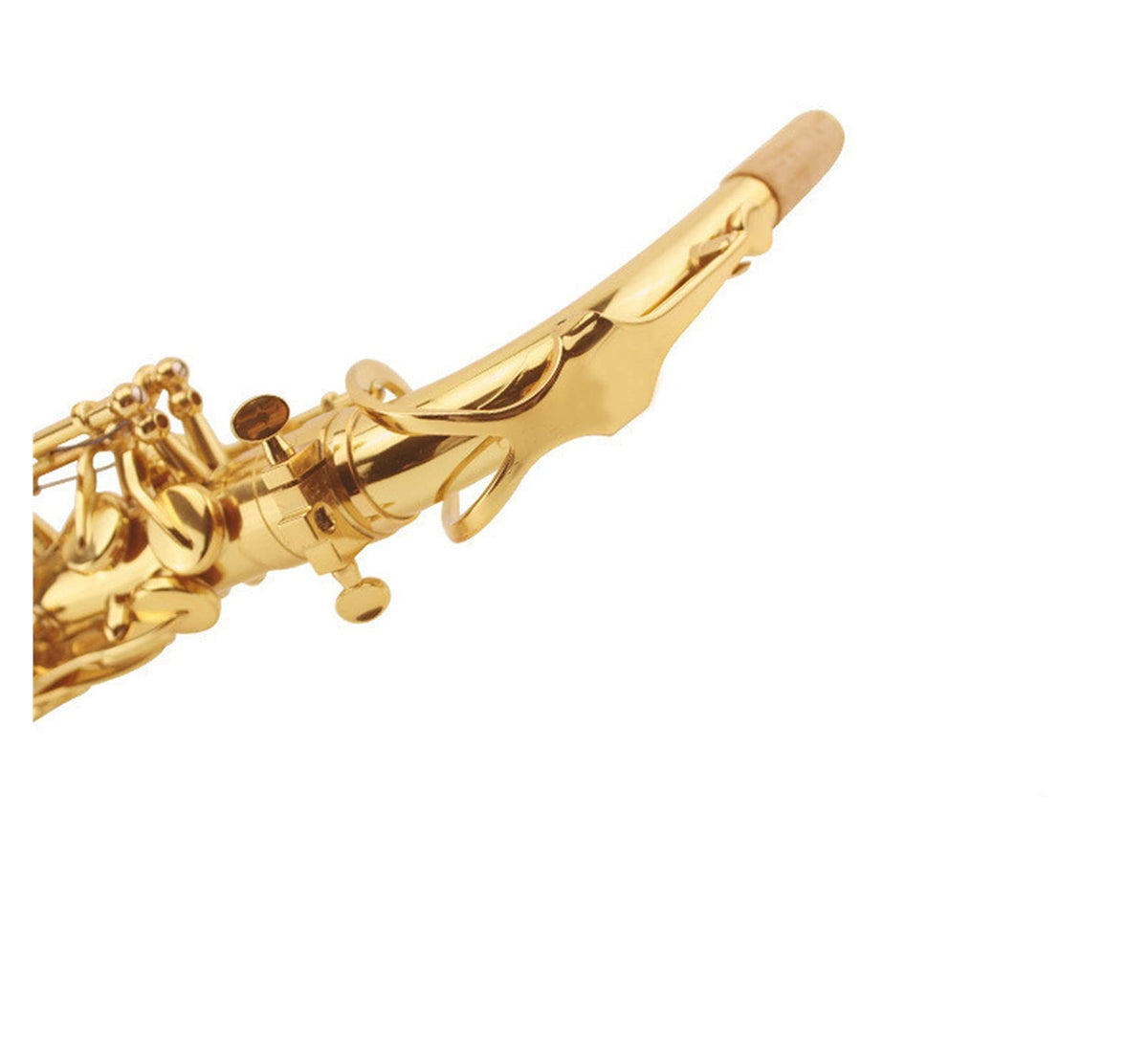 E Flat Alto Saxophone Set P41741