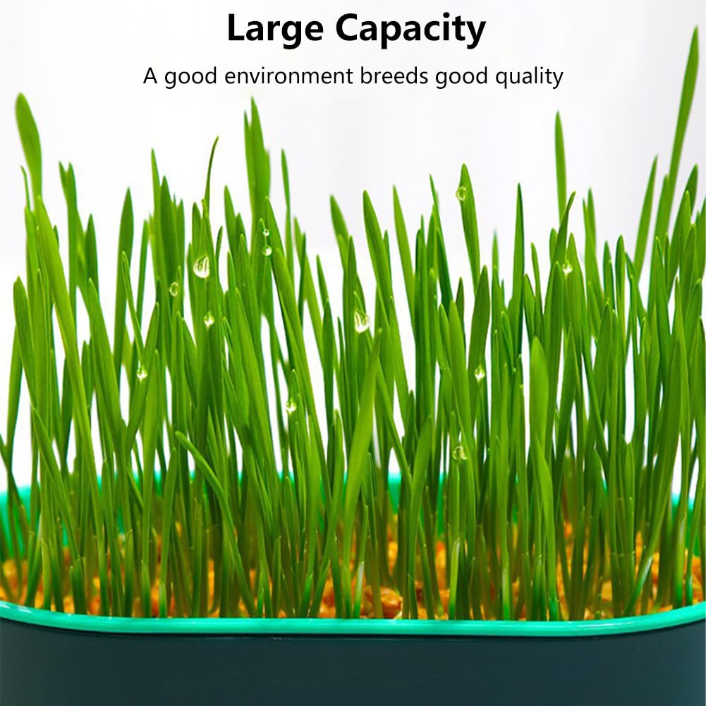 3 Pack Hydroponic Seed Sprout Tray D865100