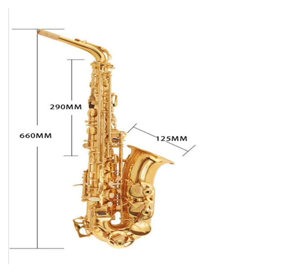 E Flat Alto Saxophone Set P41741
