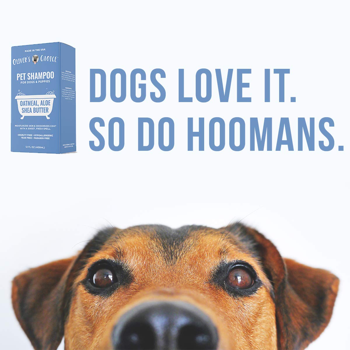 Oatmeal Aloe Shea Butter Dog Shampoo 14 fl. oz U57284