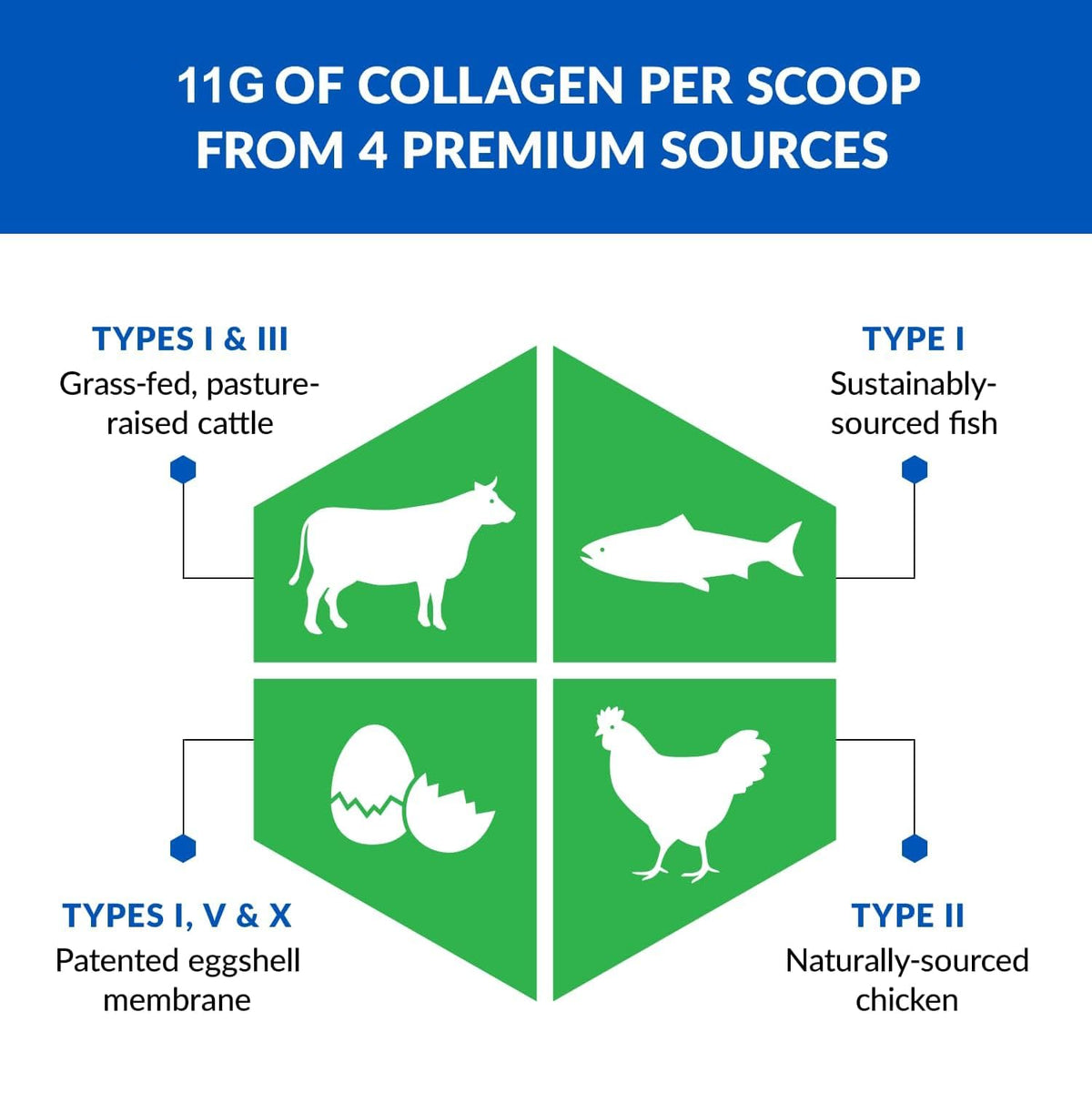 Unflavored Hydrolyzed Grass Fed Collagen Peptides Powder C3402