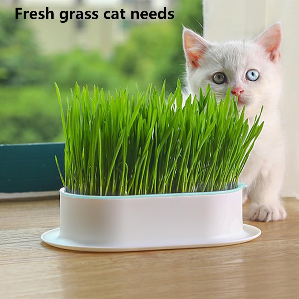 3 Pack Hydroponic Seed Sprout Tray D865100