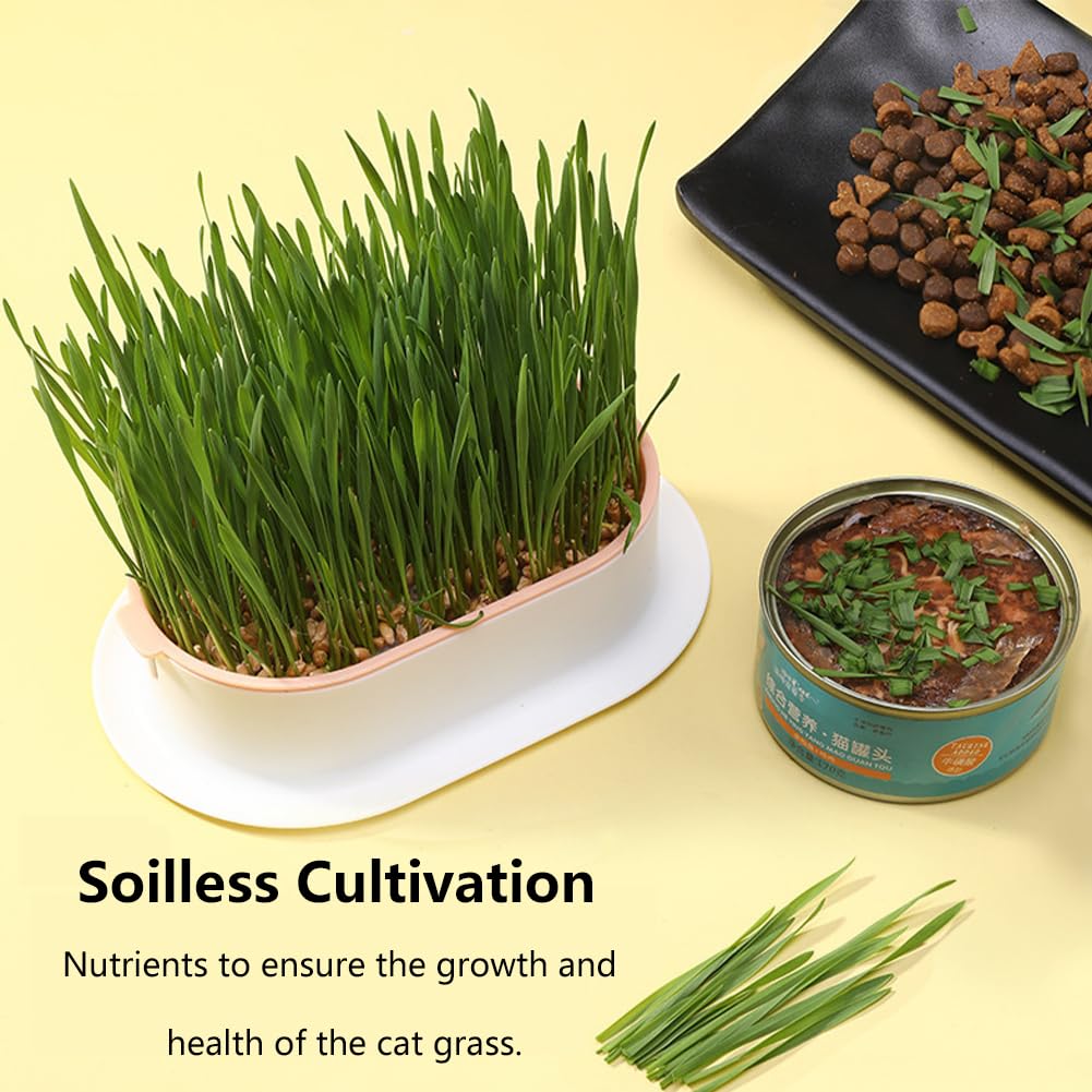 3 Pack Hydroponic Seed Sprout Tray D865100