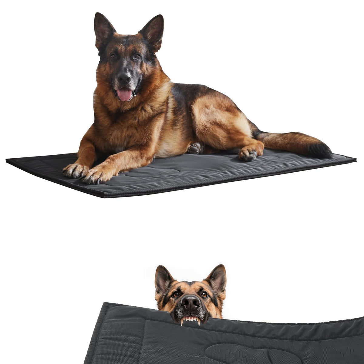 Chew Proof Dog Crate Pad Large 28"x41" F69911