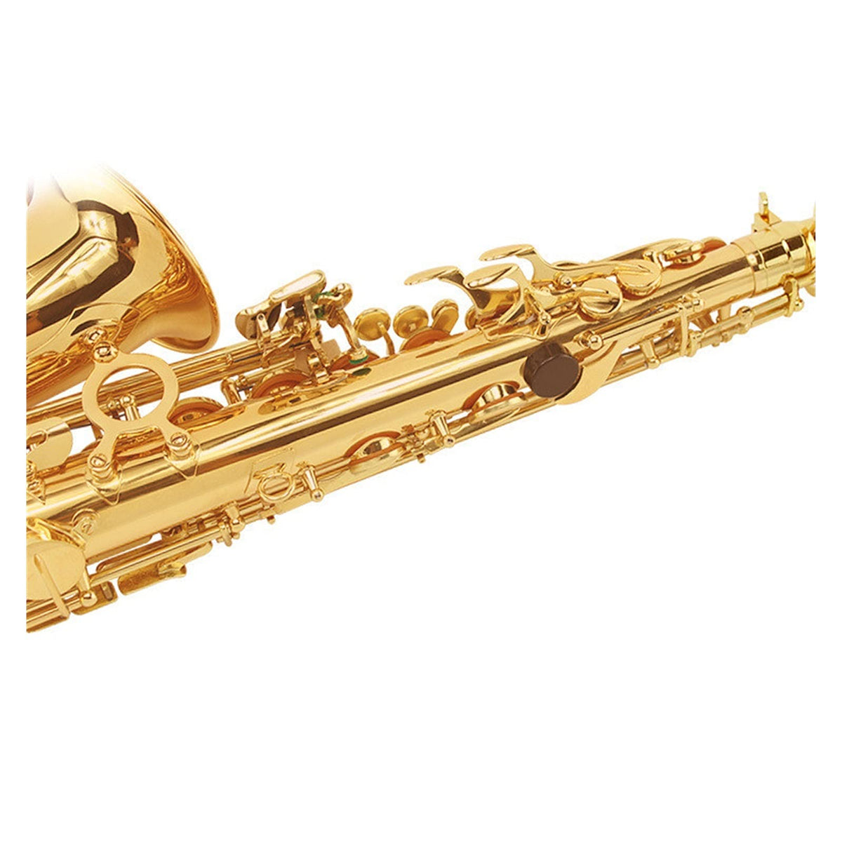 E Flat Alto Saxophone Set P41741