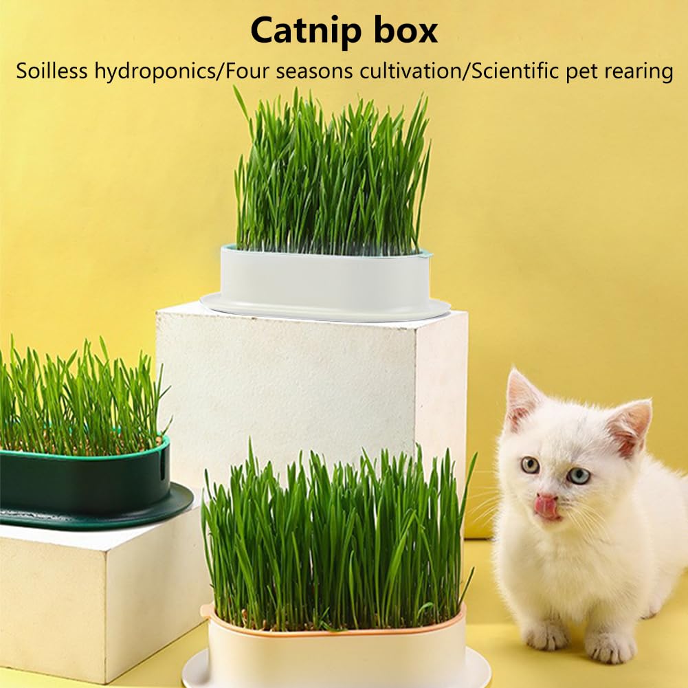 3 Pack Hydroponic Seed Sprout Tray D865100