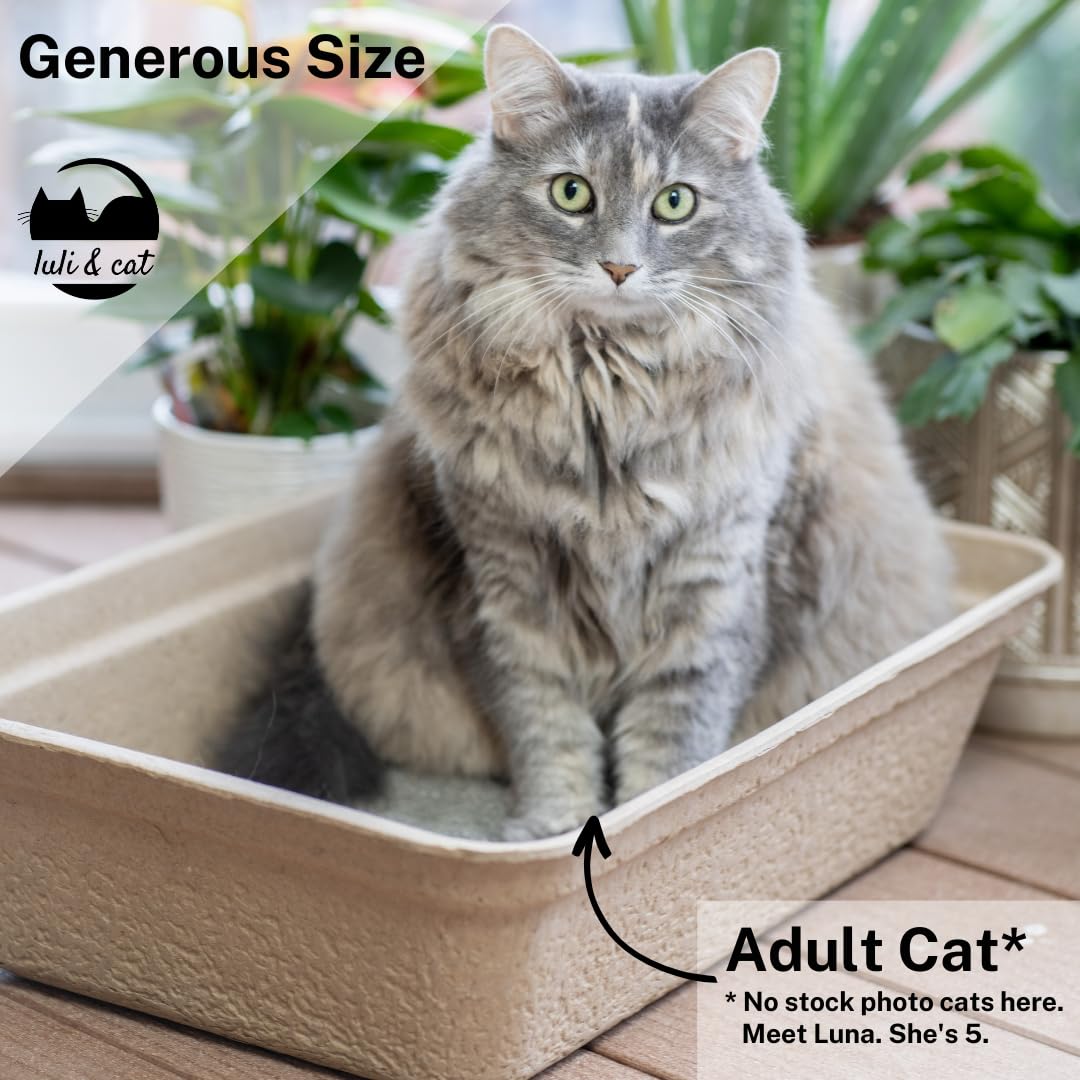 Disposable Litter Boxes 4-Pack V788
