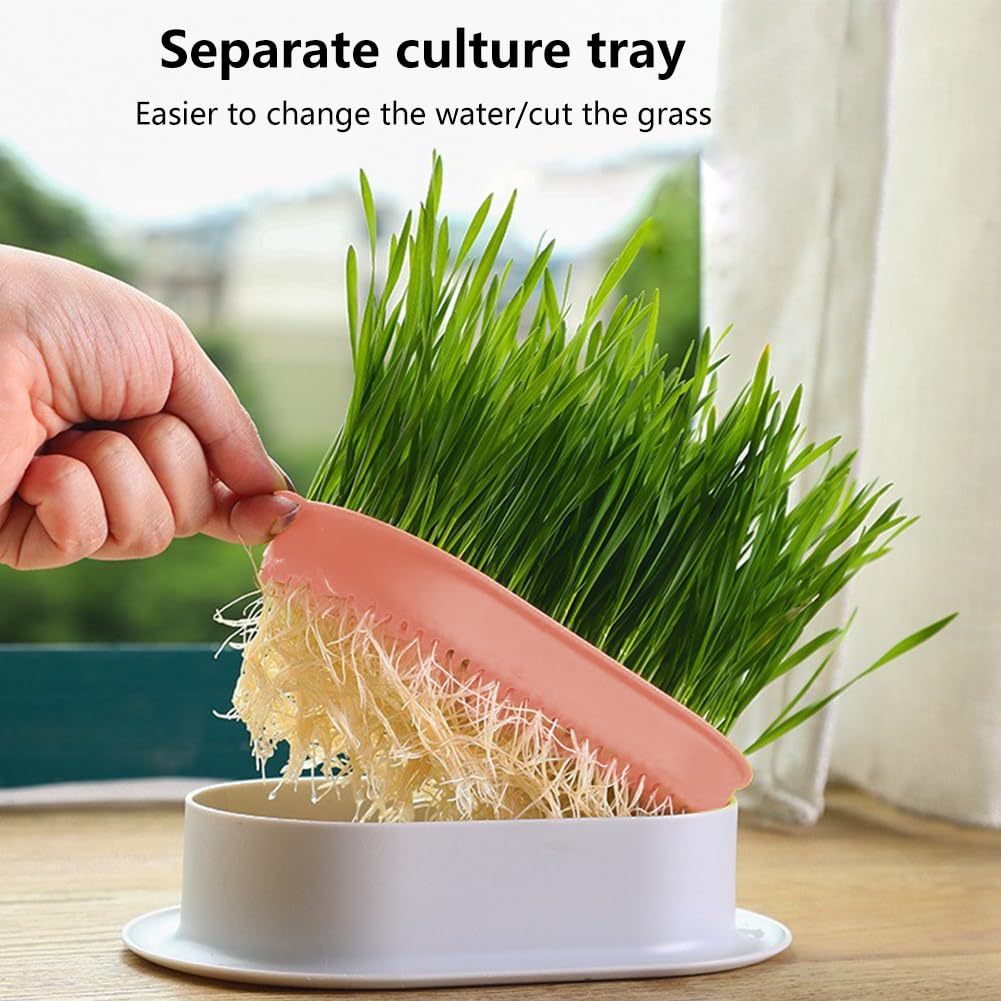 3 Pack Hydroponic Seed Sprout Tray D865100
