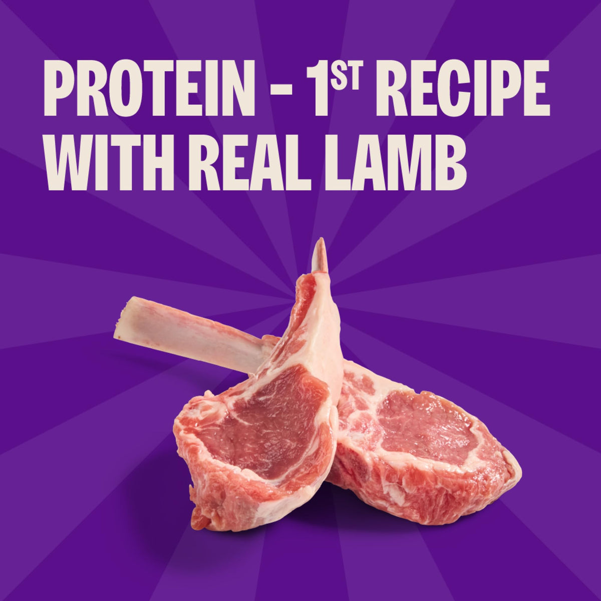 Soft Grain Free Lamb and Salmon Recipe Dog Training Treats 8 oz Bag S877