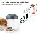Dog Puzzle Feeder Toy W16022