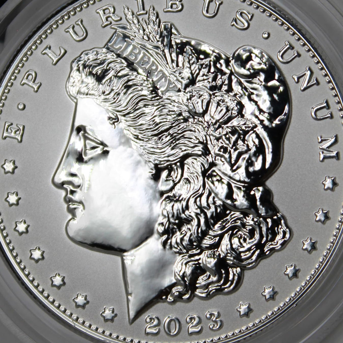 American Silver Morgan and Peace Dollar $1 E527290