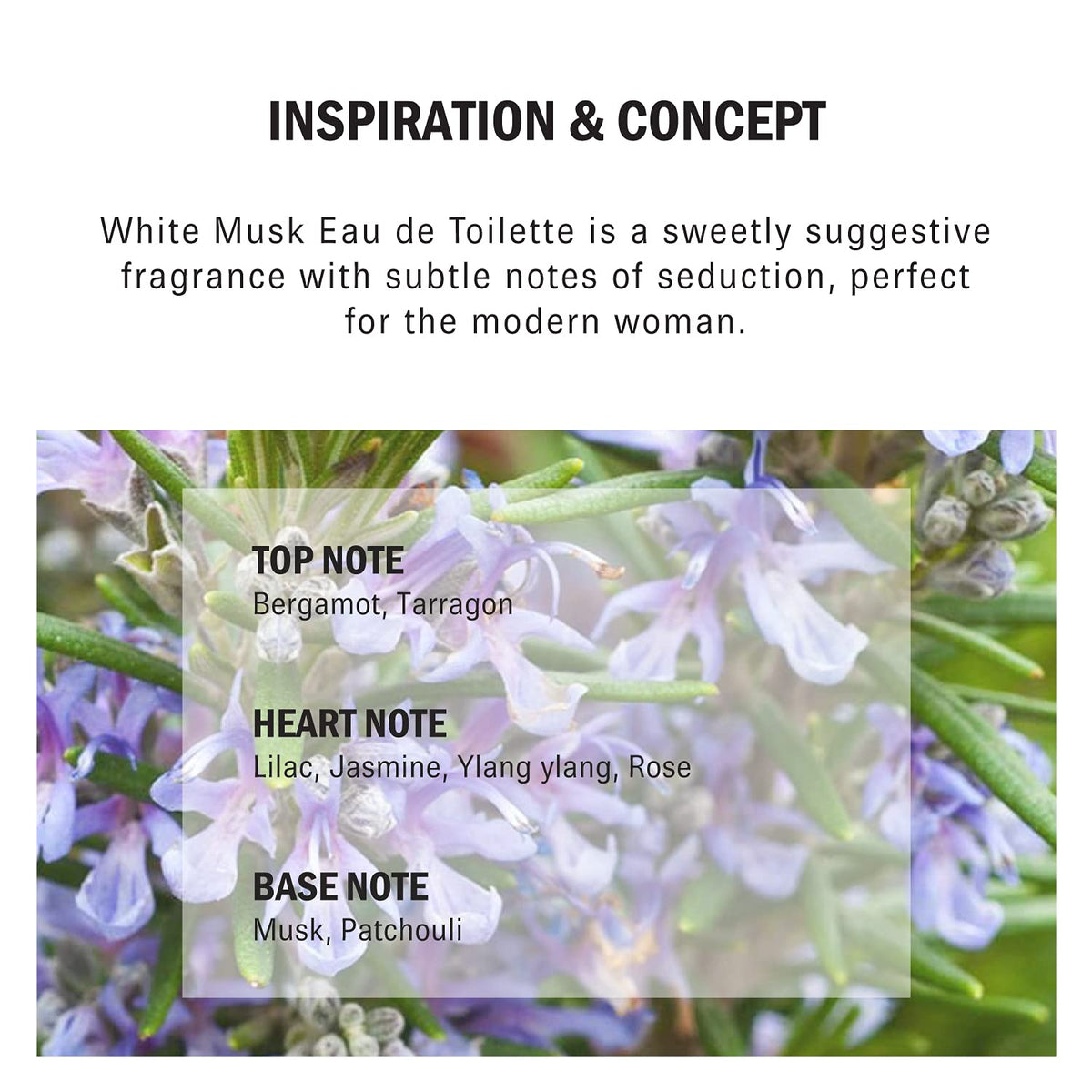White Musk 1.7 oz EDT Spray G60077