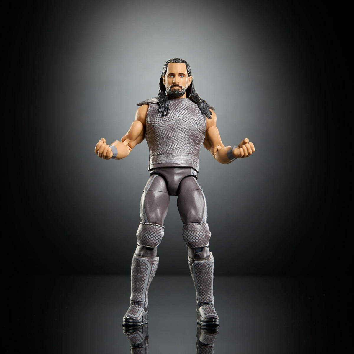WWE Action Figure & Accessories R98001