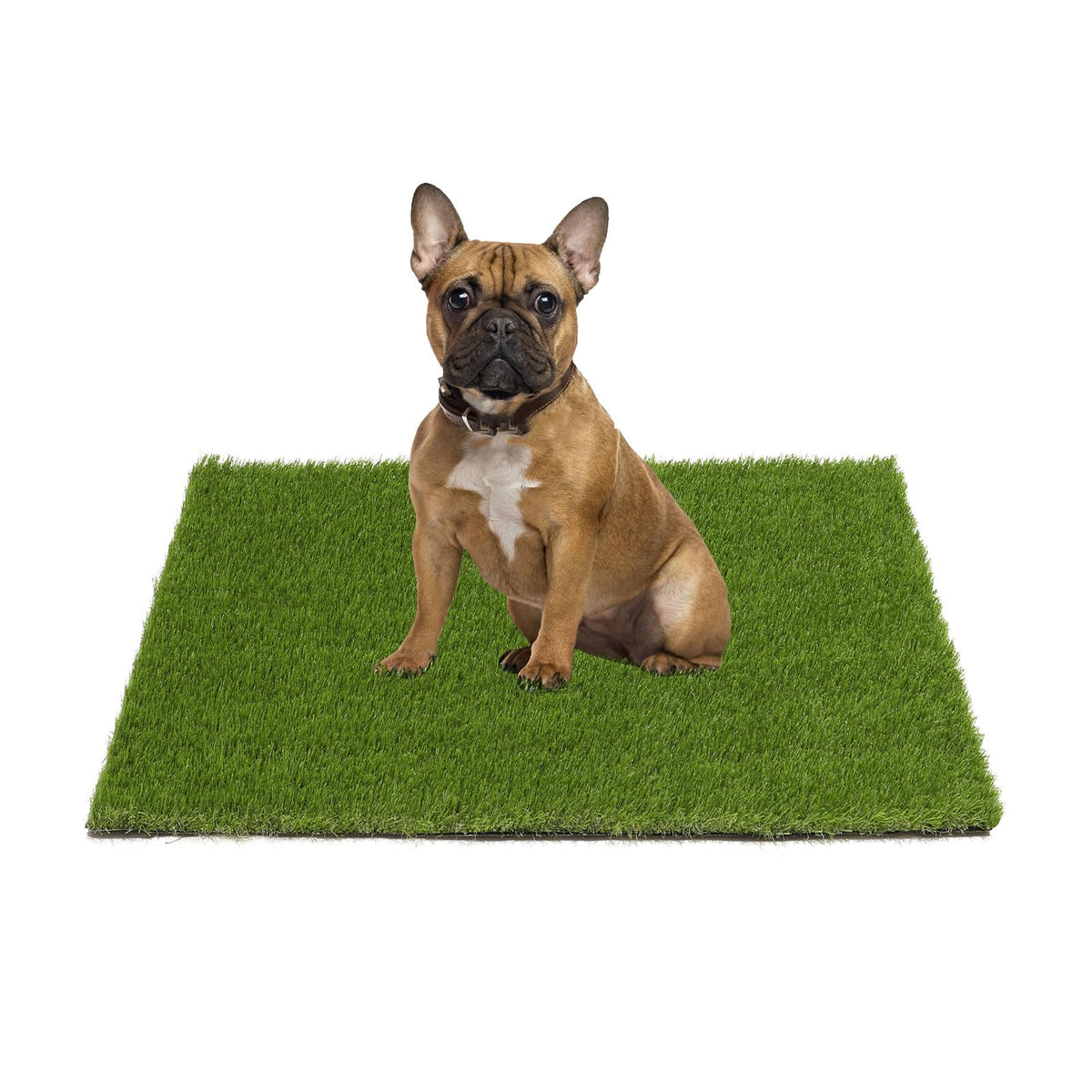 20x25 inches Artificial Grass Pad with Drainage Holes G50556