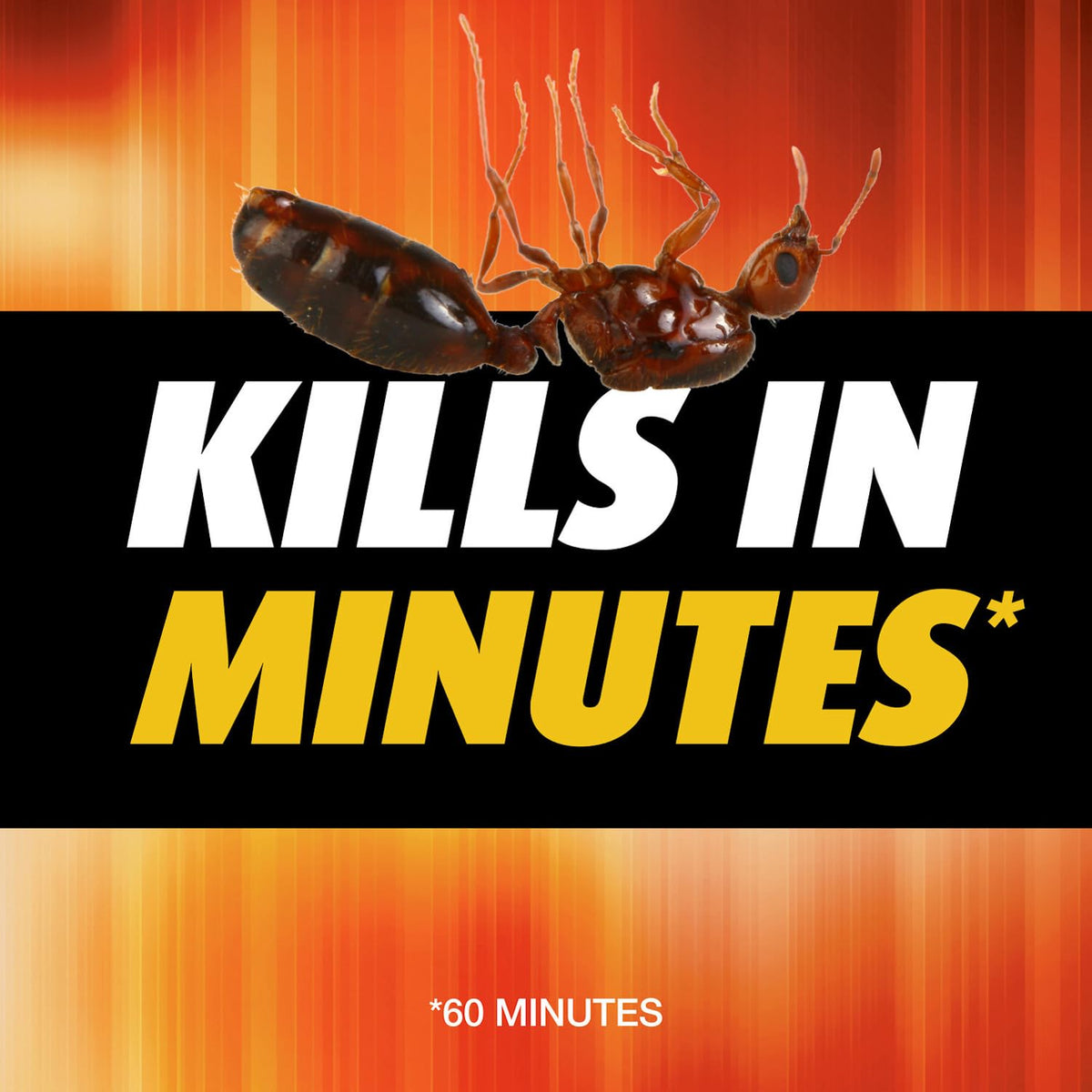 Fire Ant Killer 12 oz Pack of 6 Q429
