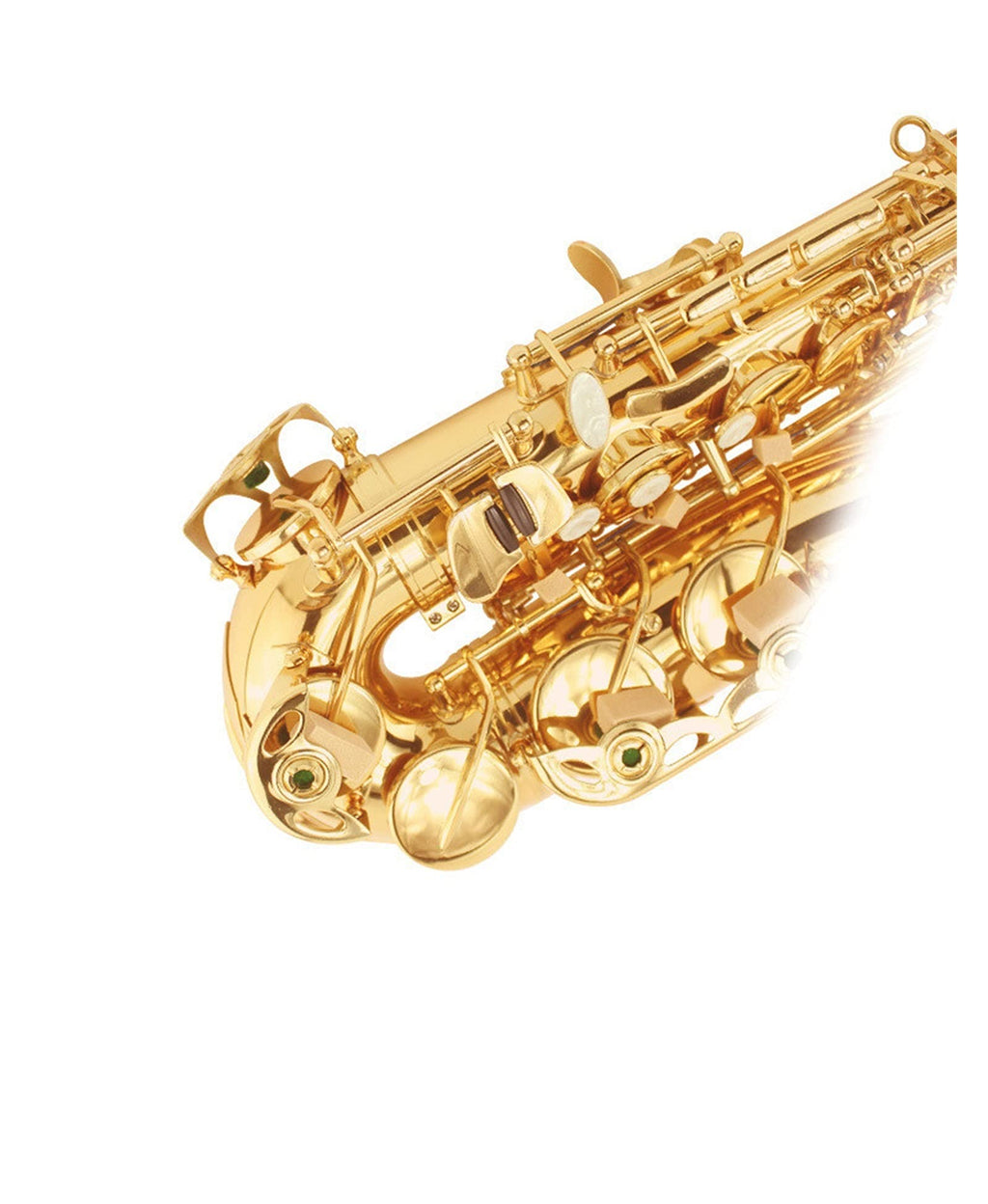 E Flat Alto Saxophone Set P41741