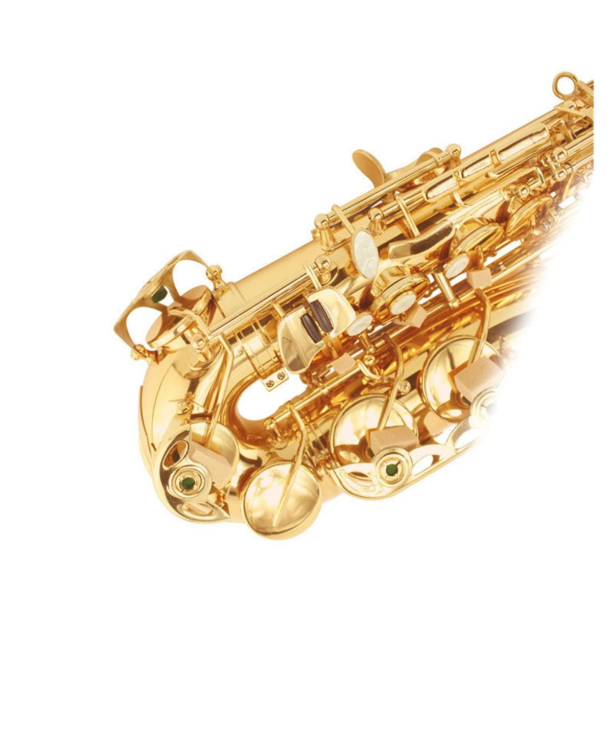 E Flat Alto Saxophone Set P41741