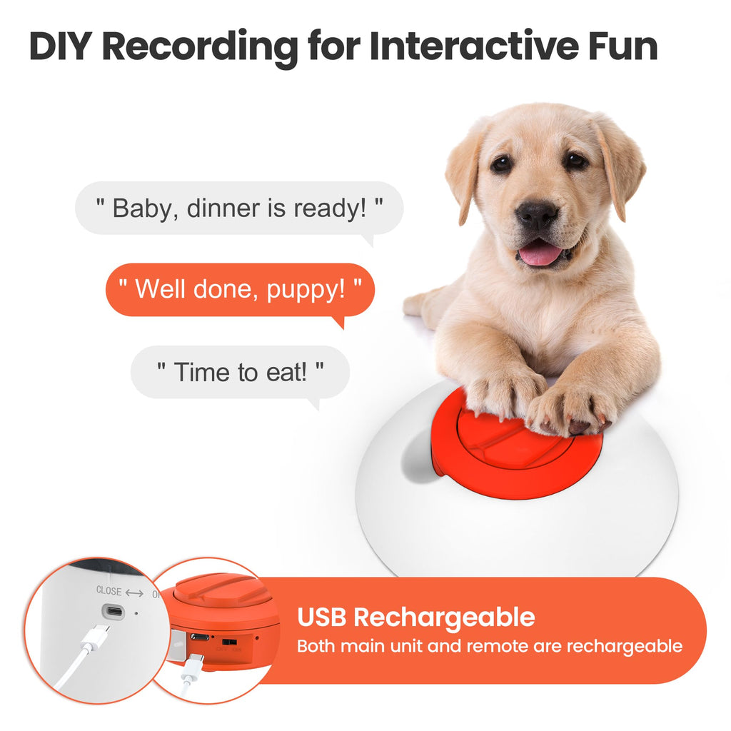 Dog Puzzle Feeder Toy W16022