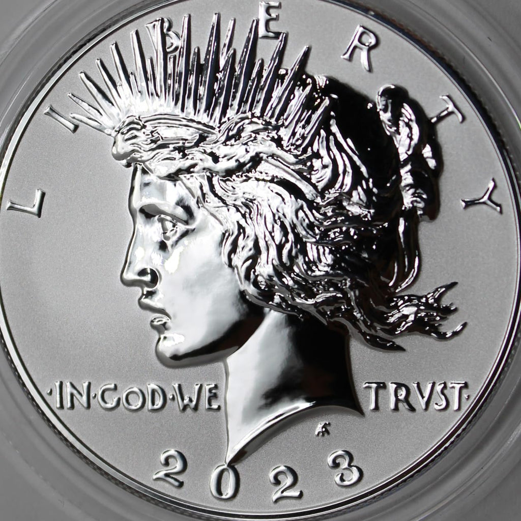 American Silver Morgan and Peace Dollar $1 E527290