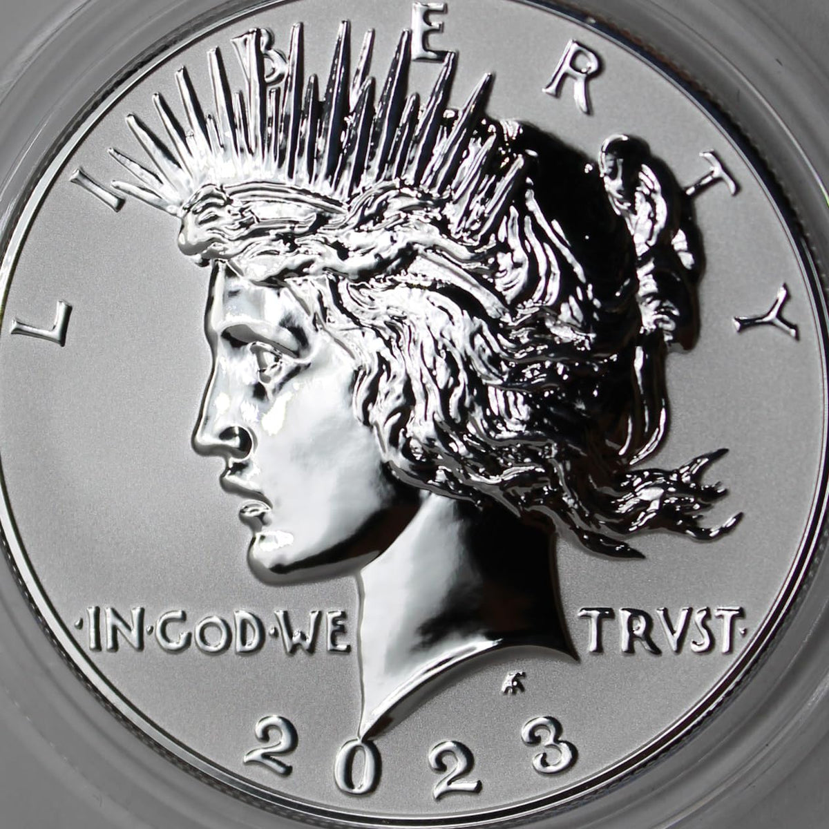 American Silver Morgan and Peace Dollar $1 E527290