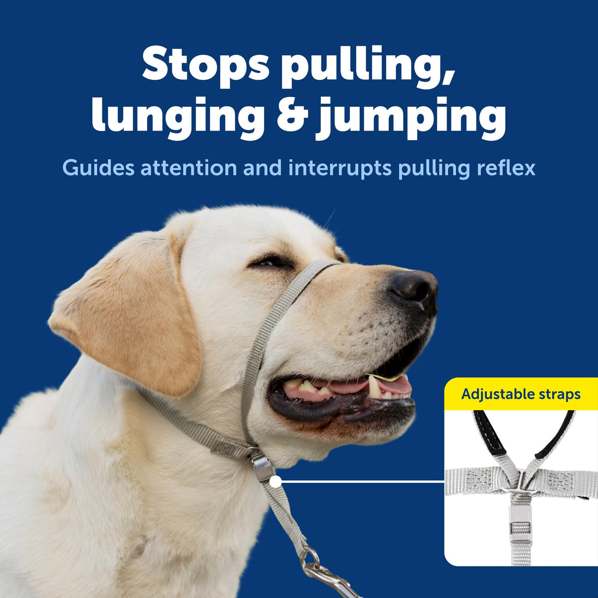 Black Medium No Pull Dog Headcollar R930