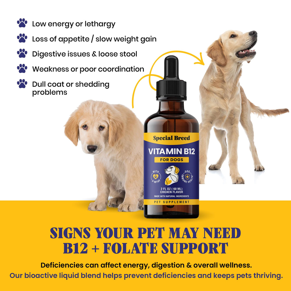 Liquid Vitamin B12 for Dogs, Chicken Flavor, 2 fl oz A5151