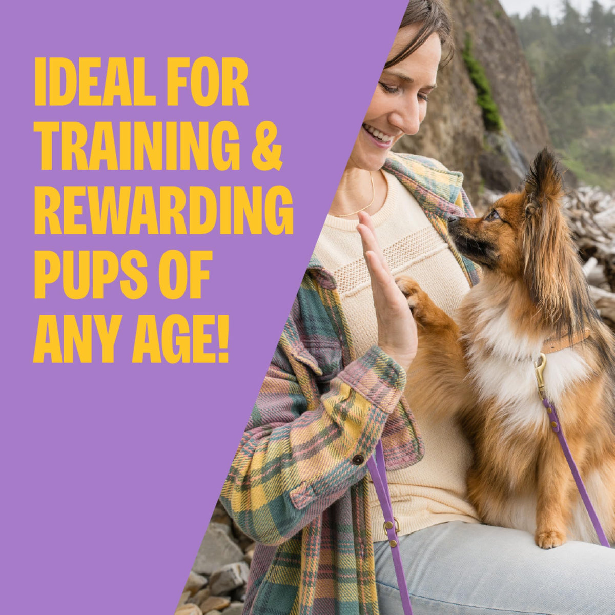 Soft Grain Free Lamb and Salmon Recipe Dog Training Treats 8 oz Bag S877