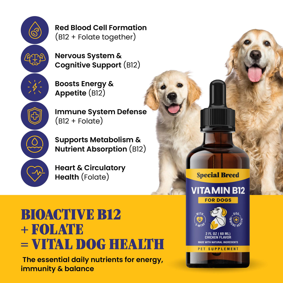 Liquid Vitamin B12 for Dogs, Chicken Flavor, 2 fl oz A5151