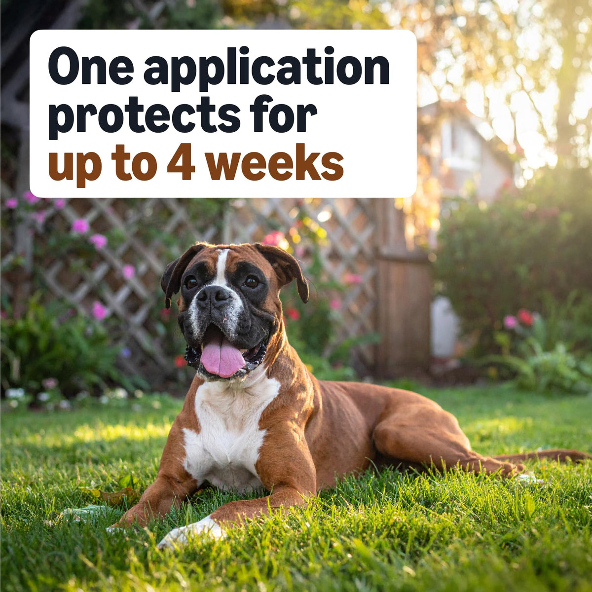 Flea Tick & Mosquito Topical Treatment for Large Dogs 4 Count G5251