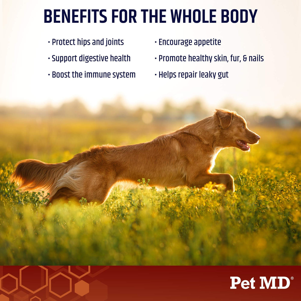 Bone Broth Powder Supplement & Pill Paste X7090