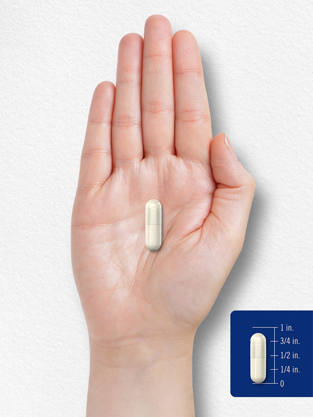 MSM Supplement Capsules 500mg 200 Count Z75696