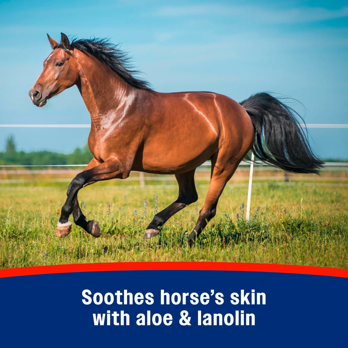 Mosquito Repellent Spray for Horses, 32 oz M3783