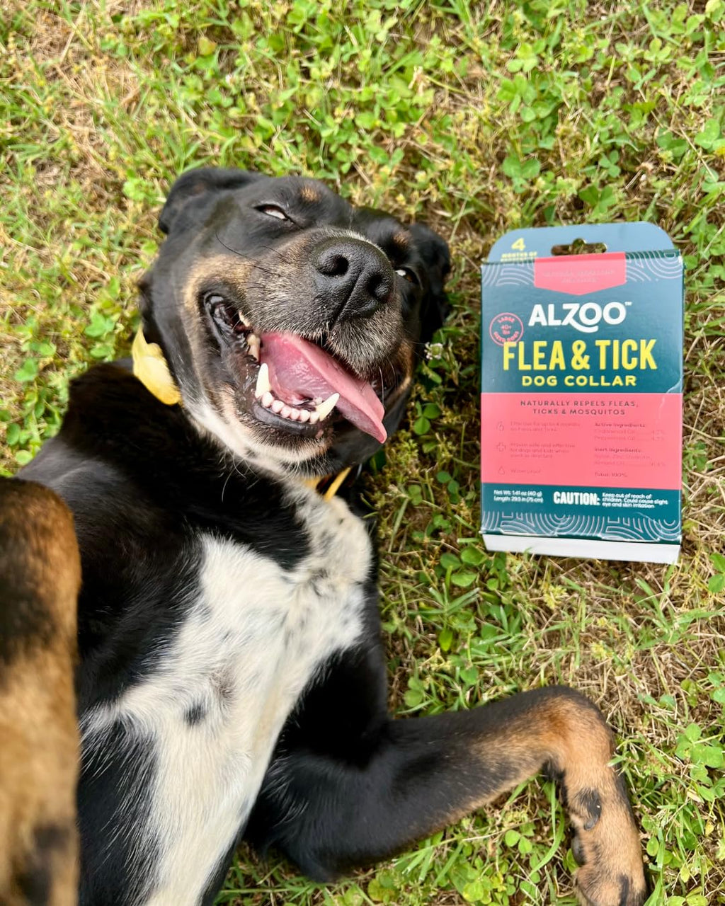 Plant Based Flea & Tick Dog Collar U38374