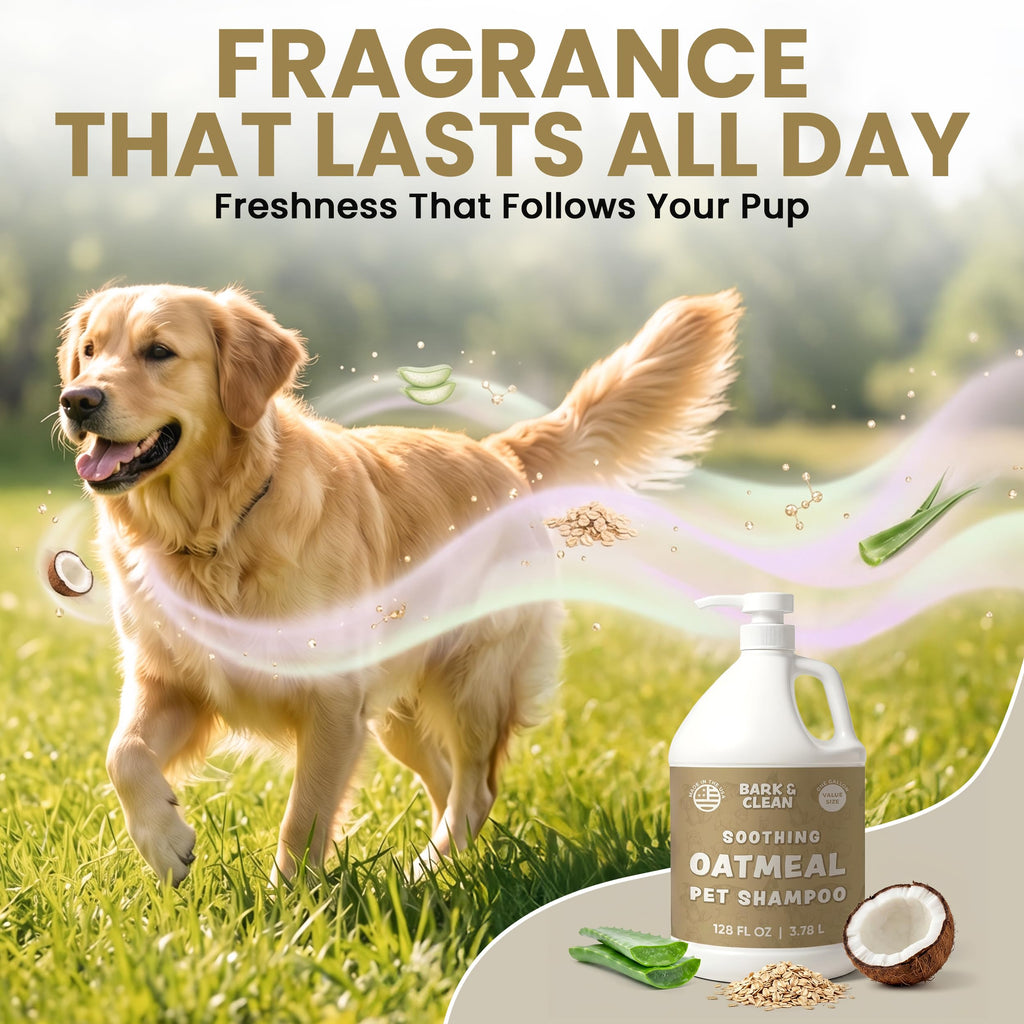 Oatmeal Dog Shampoo 1 Gallon with Pump Hypoallergenic Aloe Vera Coconut Oil U79940