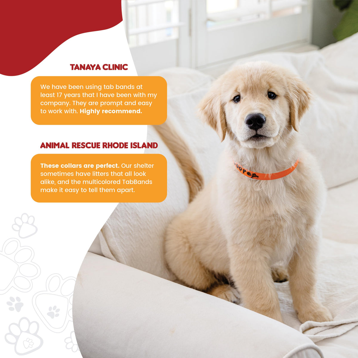 20 Inch 500 Count Waterproof Writable Tear-Resistant Pet ID Collars Q759987