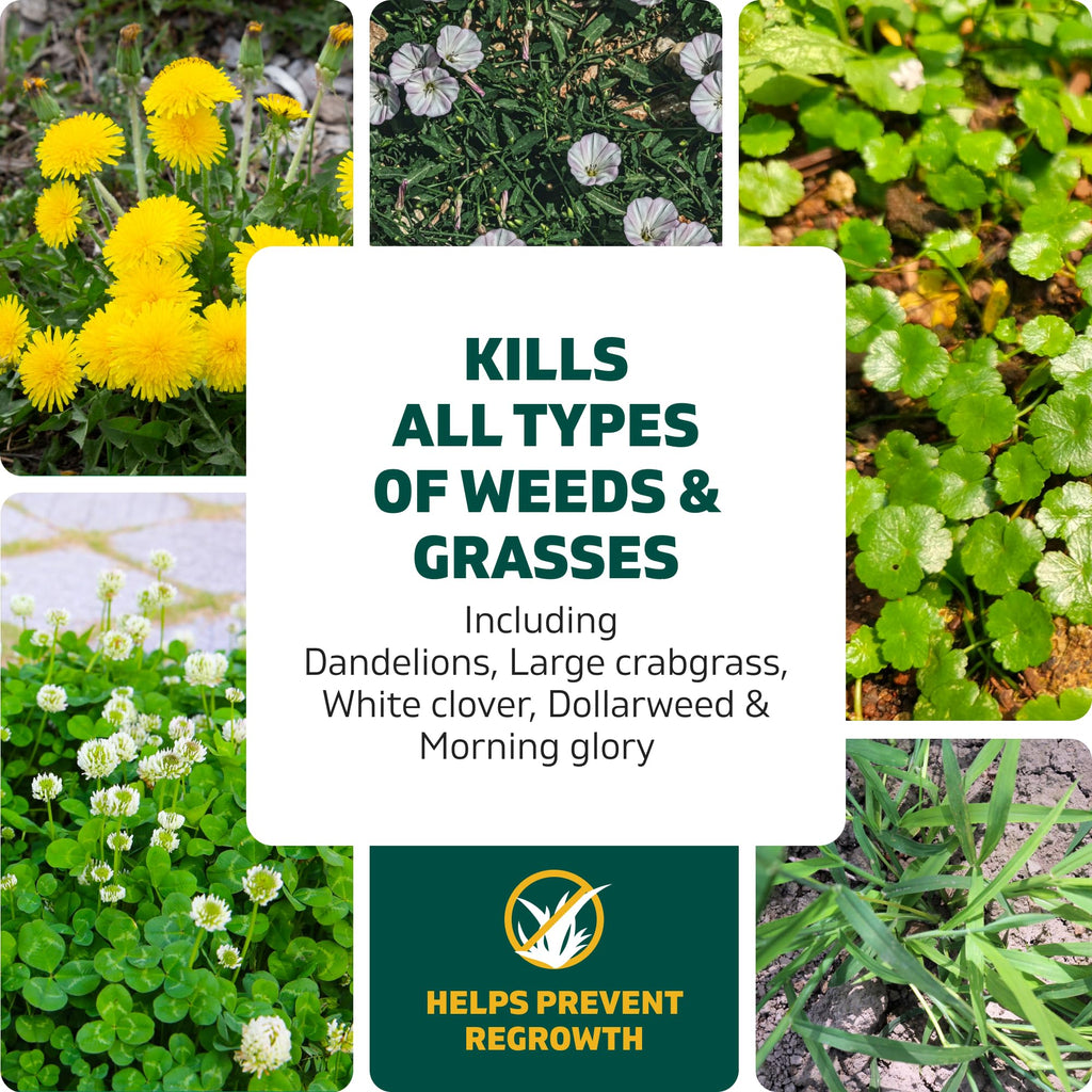 Weed & Grass Killer Kit, 64 Oz N8661