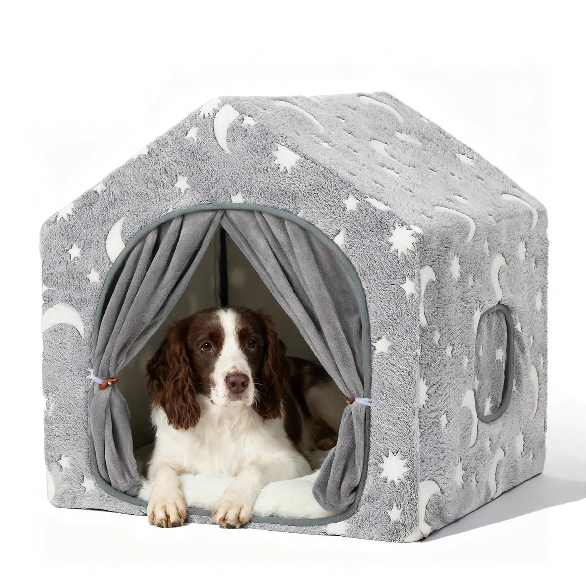 Indoor Dog House D463