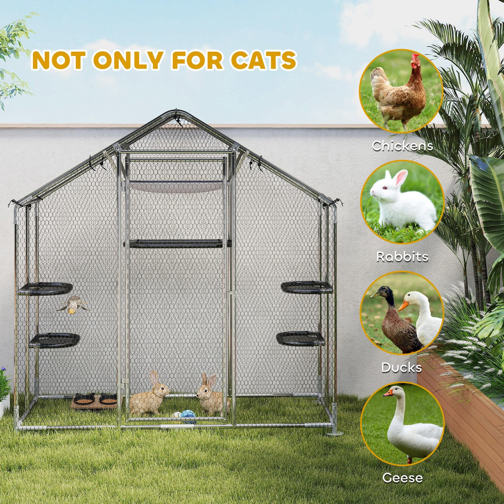 Large Outdoor Cat Enclosure O7779