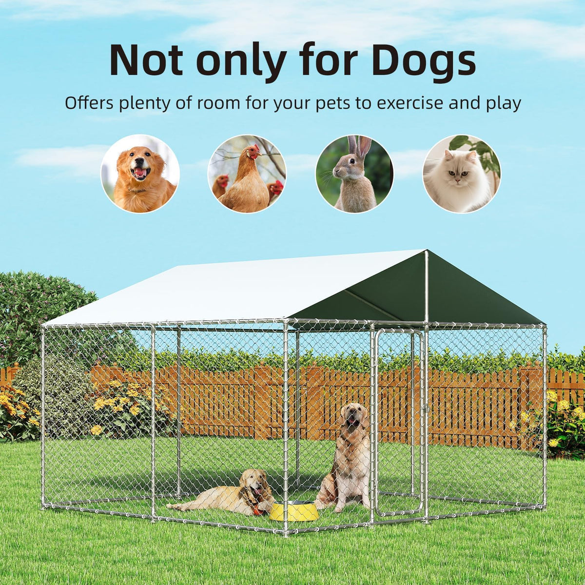 10'x10' Heavy Duty Outdoor Dog Kennel N17530
